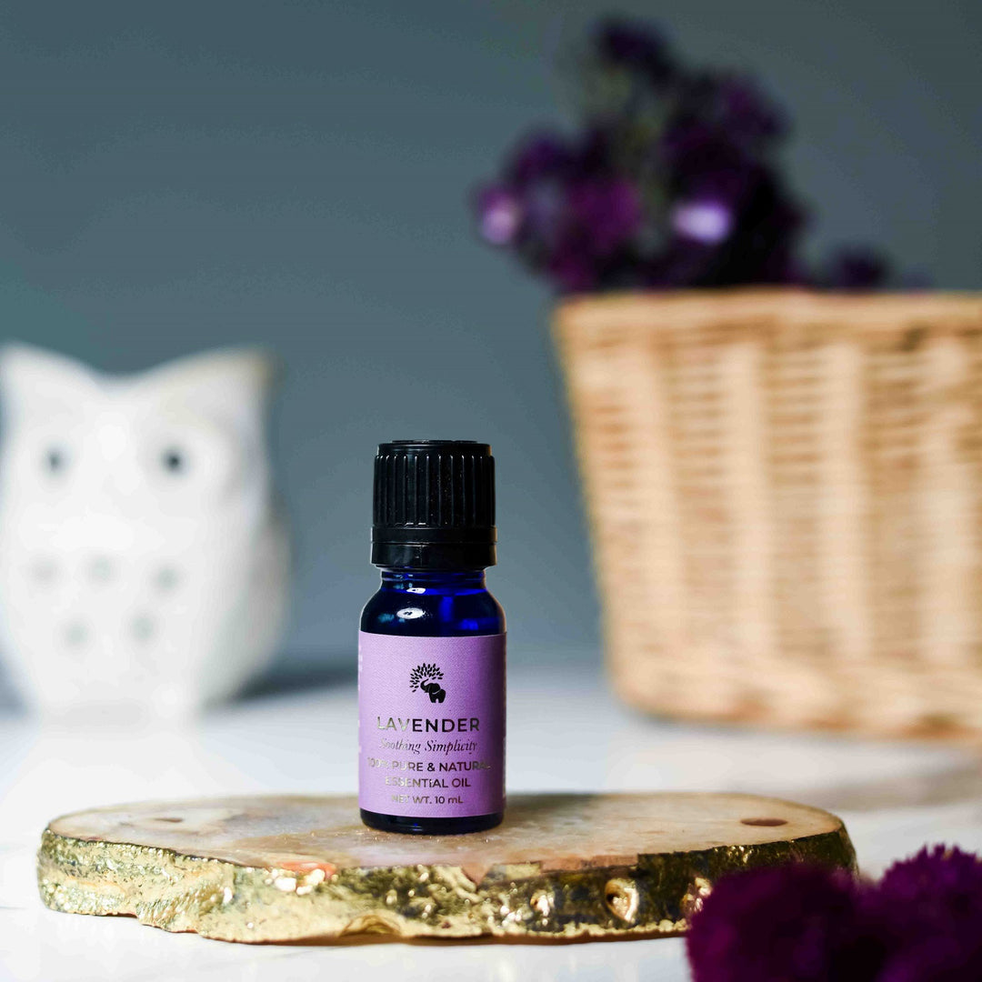 Lavender Essential Oil