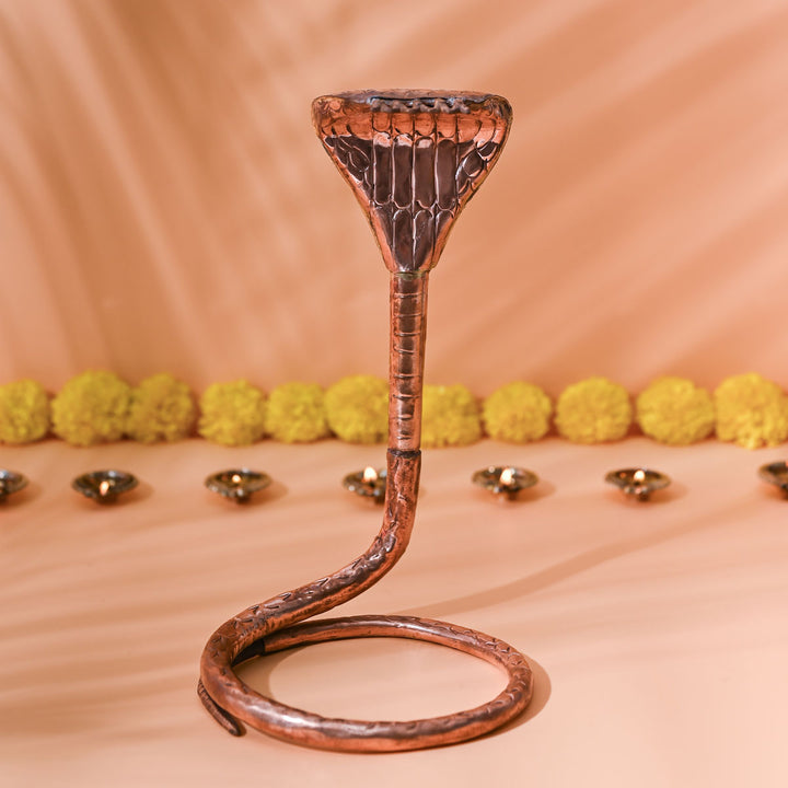 Nag Devta Pooja Idol