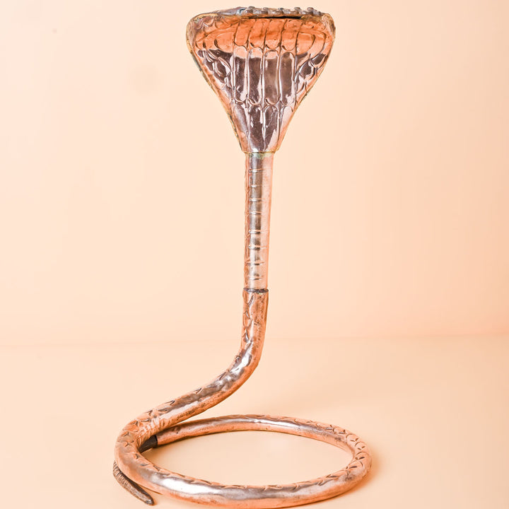 Nag Devta Pooja Idol