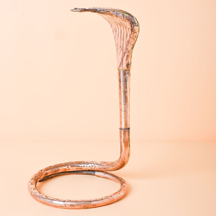 Nag Devta Pooja Idol