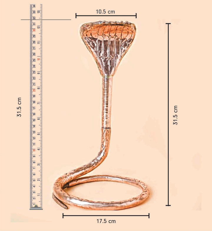 Nag Devta Pooja Idol