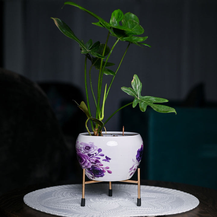 Rebecca Rose Planter