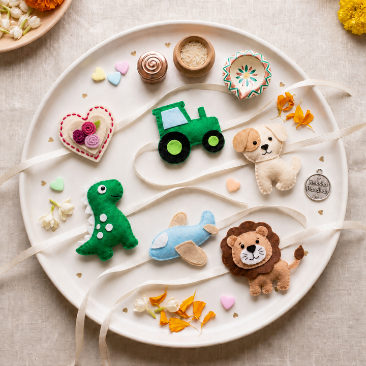 Roar & Explore Rakhi Pack (Pack of 6)
