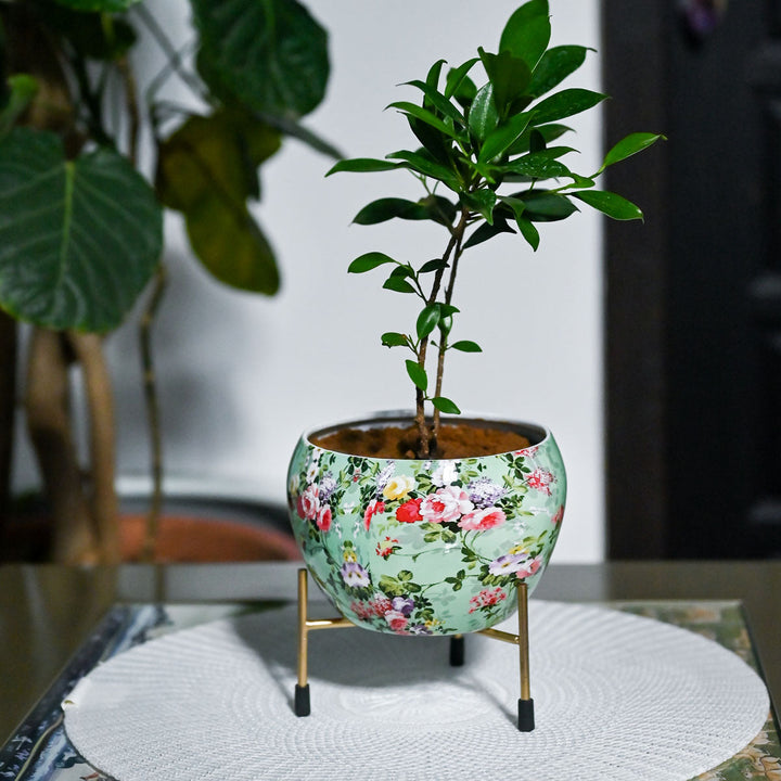Floralia Planter
