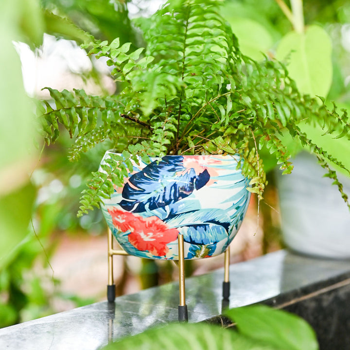 Lush Planter