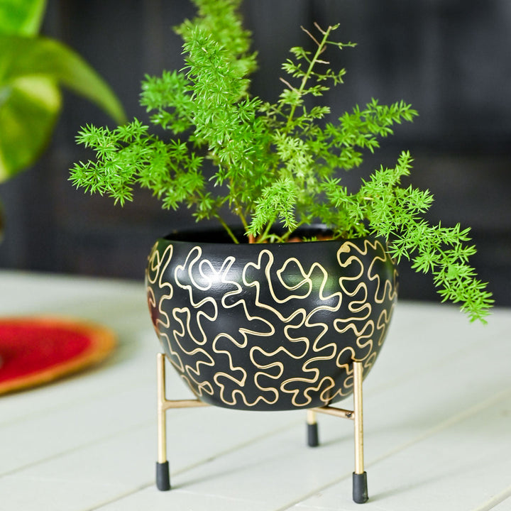 Nightfall Planter