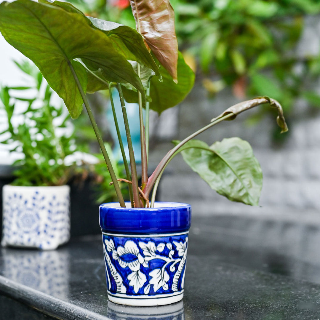 Royal Ivy Ceramic Planter